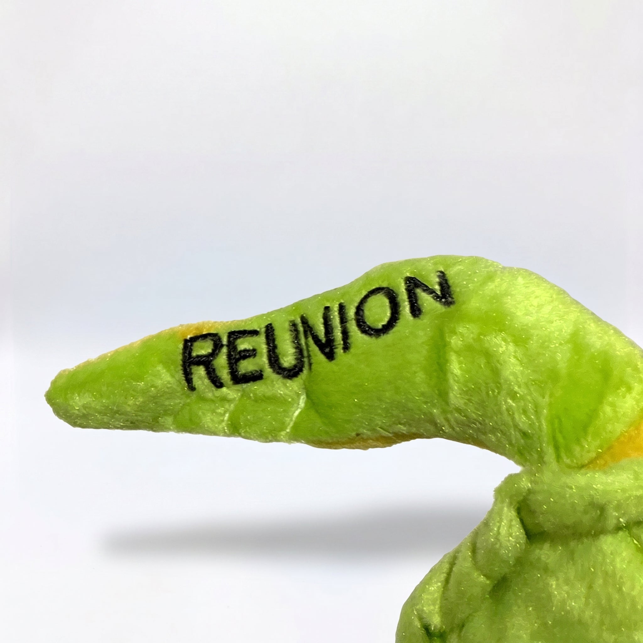 Peluche Tortue
