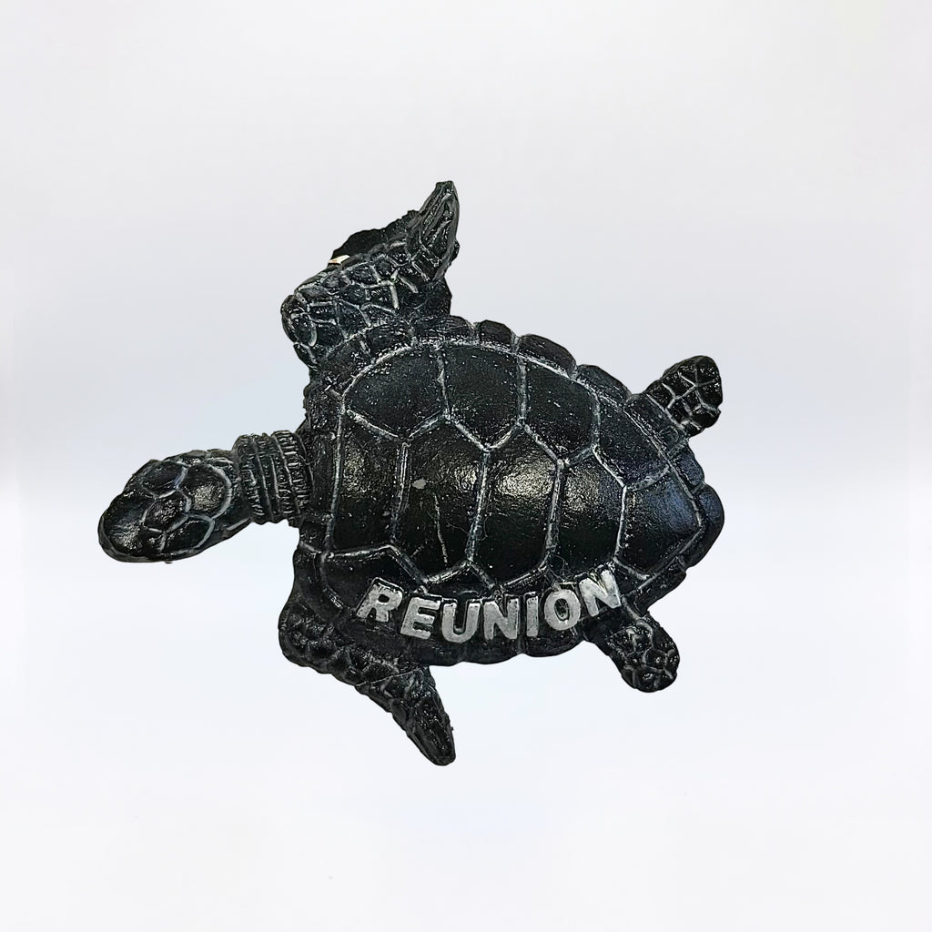 Magnet Tortue