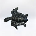 Magnet Tortue