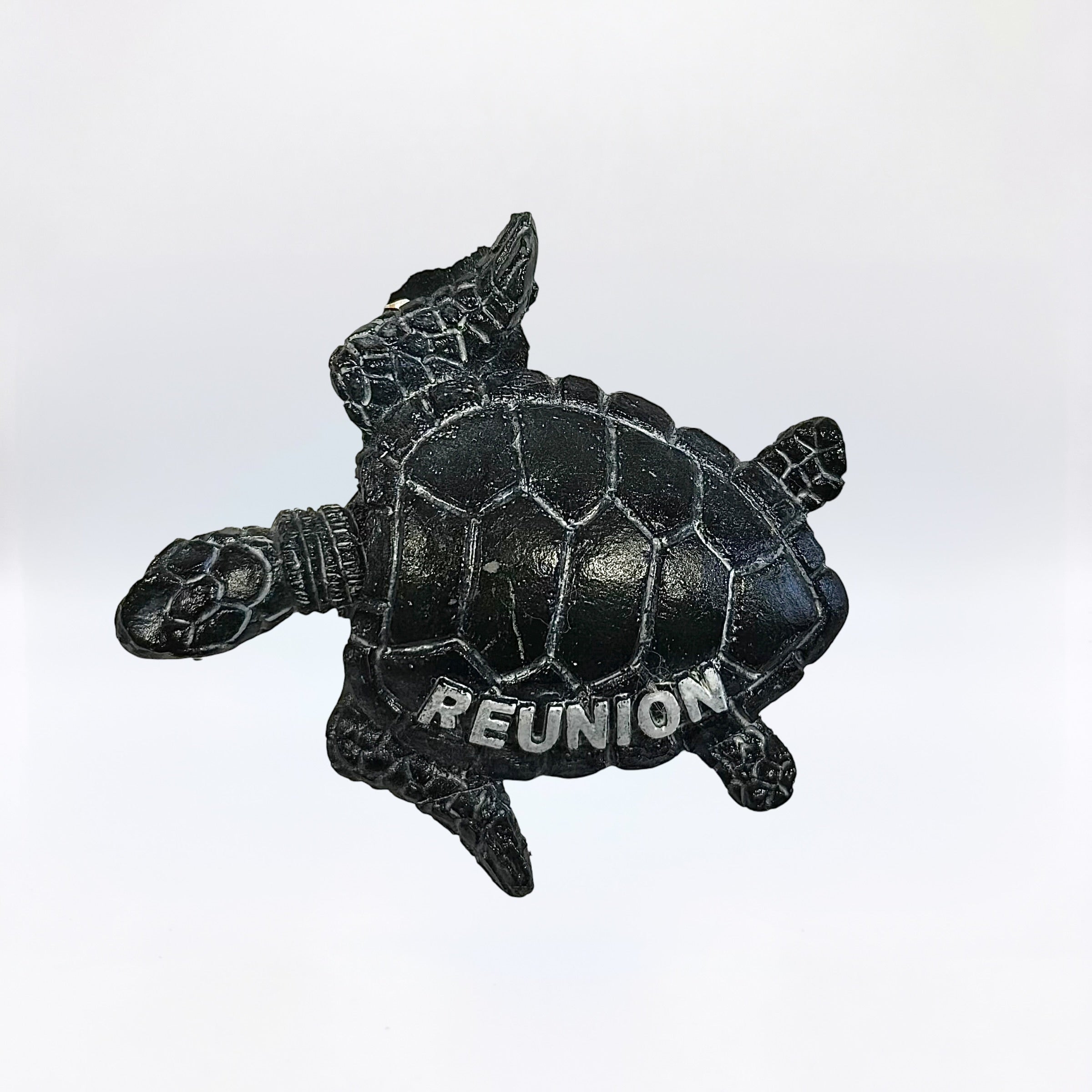 Magnet Tortue