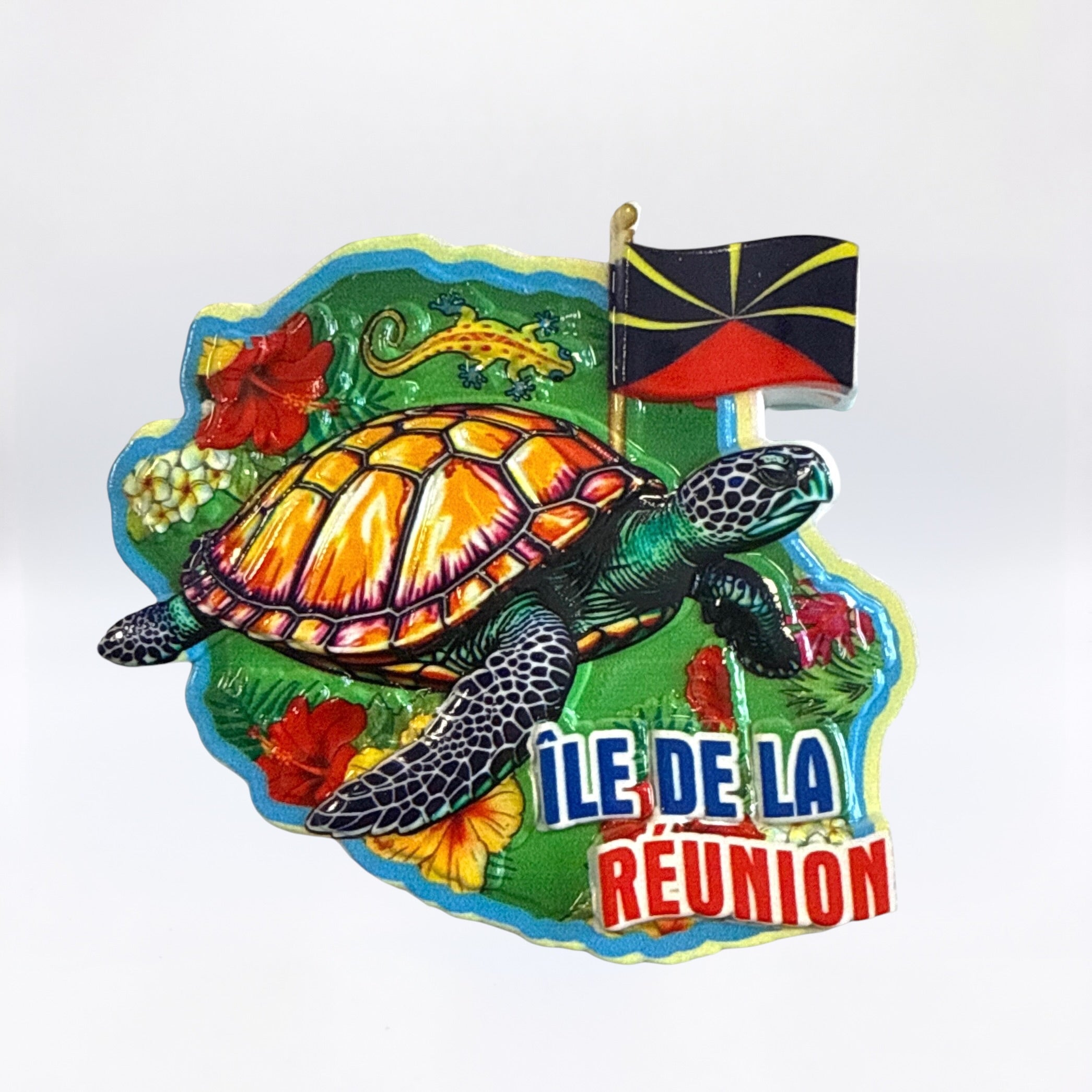 Magnet Tortue