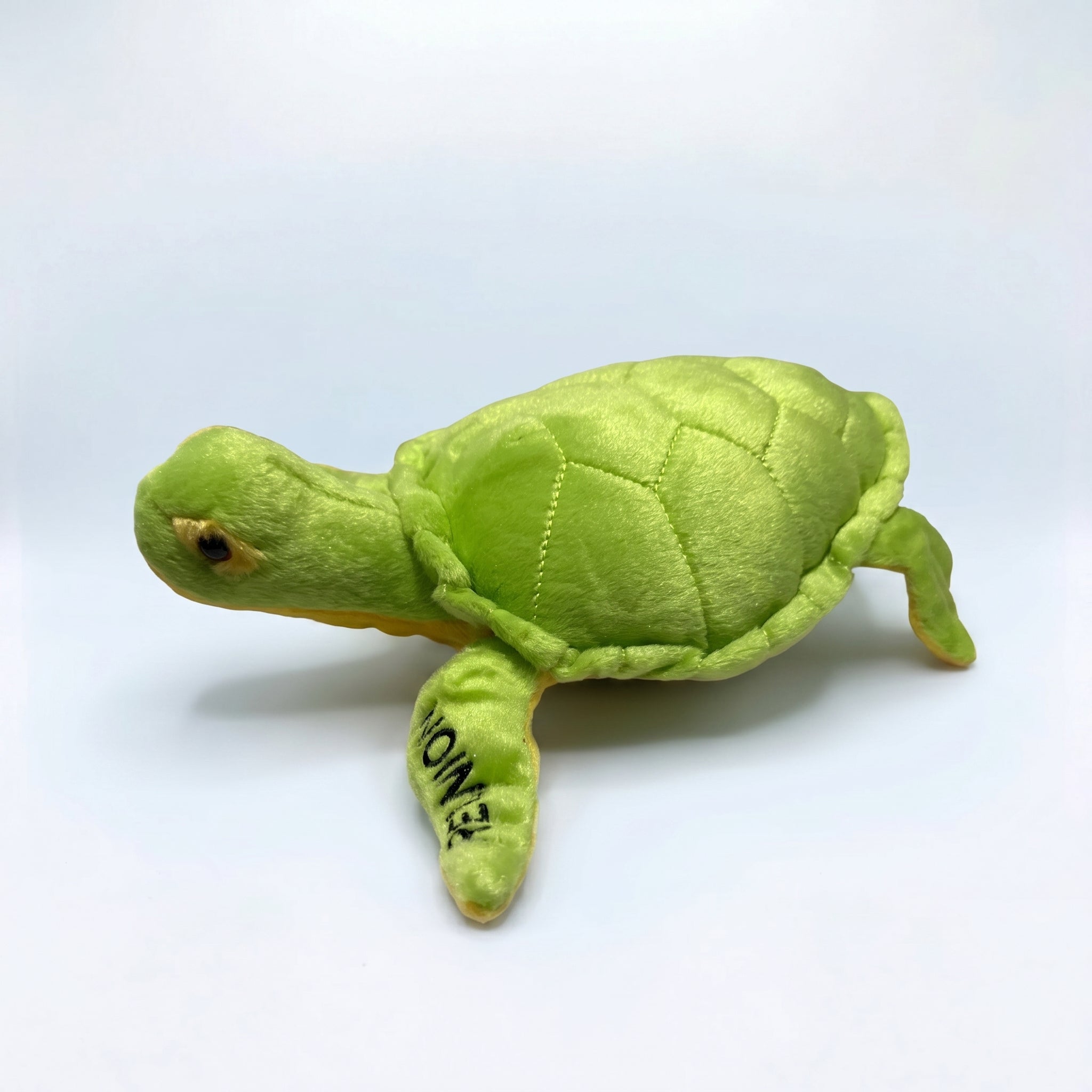 Peluche Tortue