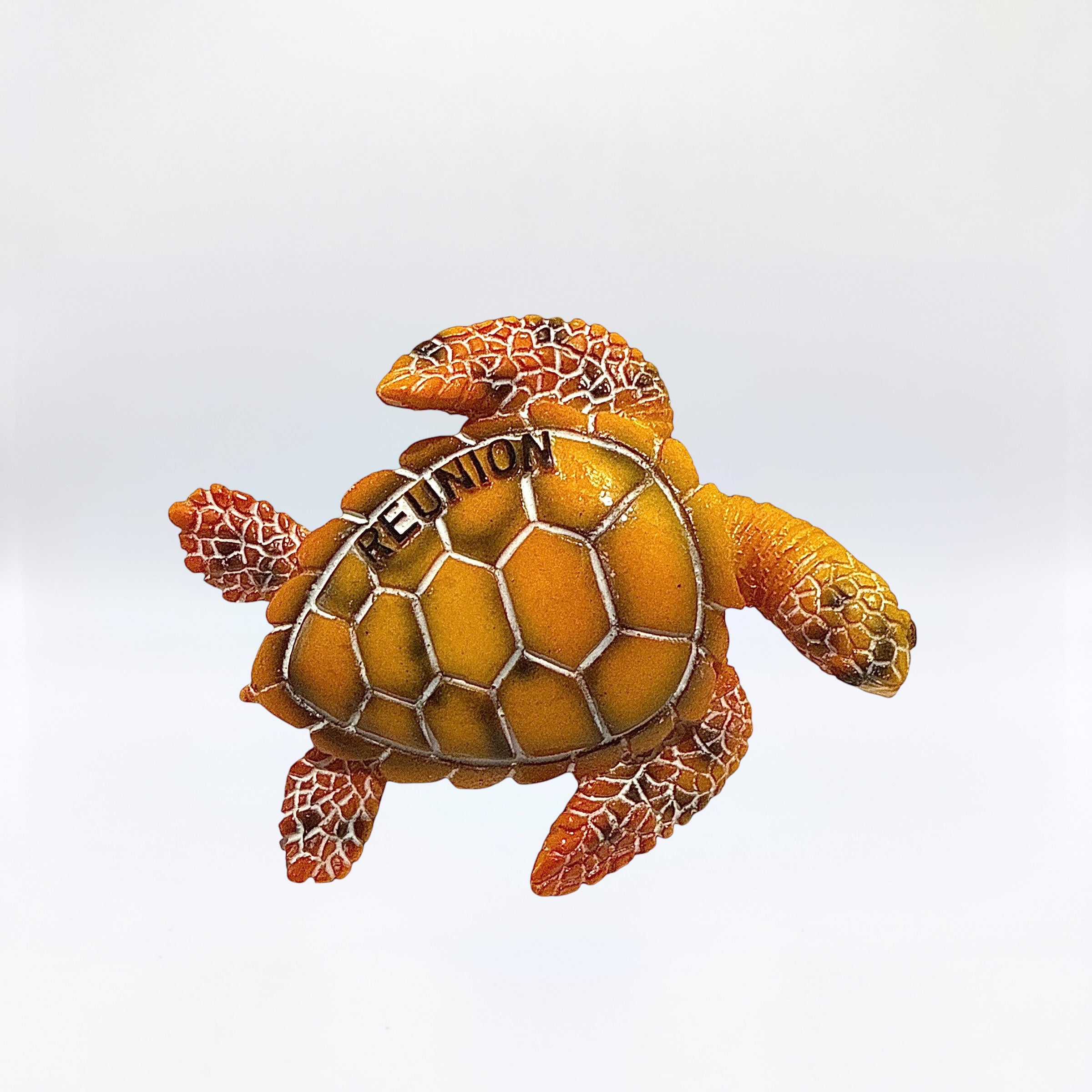 Magnet Tortue