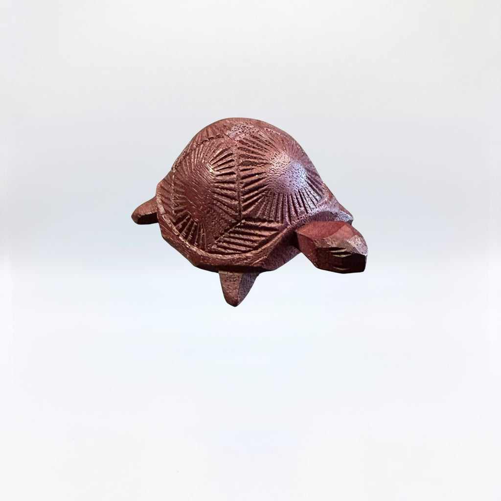 Déco Tortue En Bois