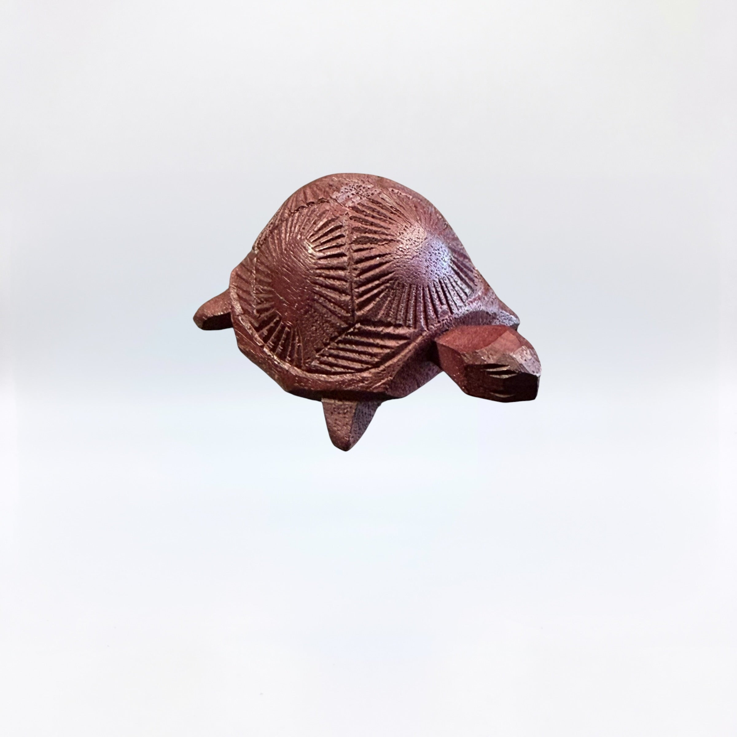 Déco Tortue En Bois