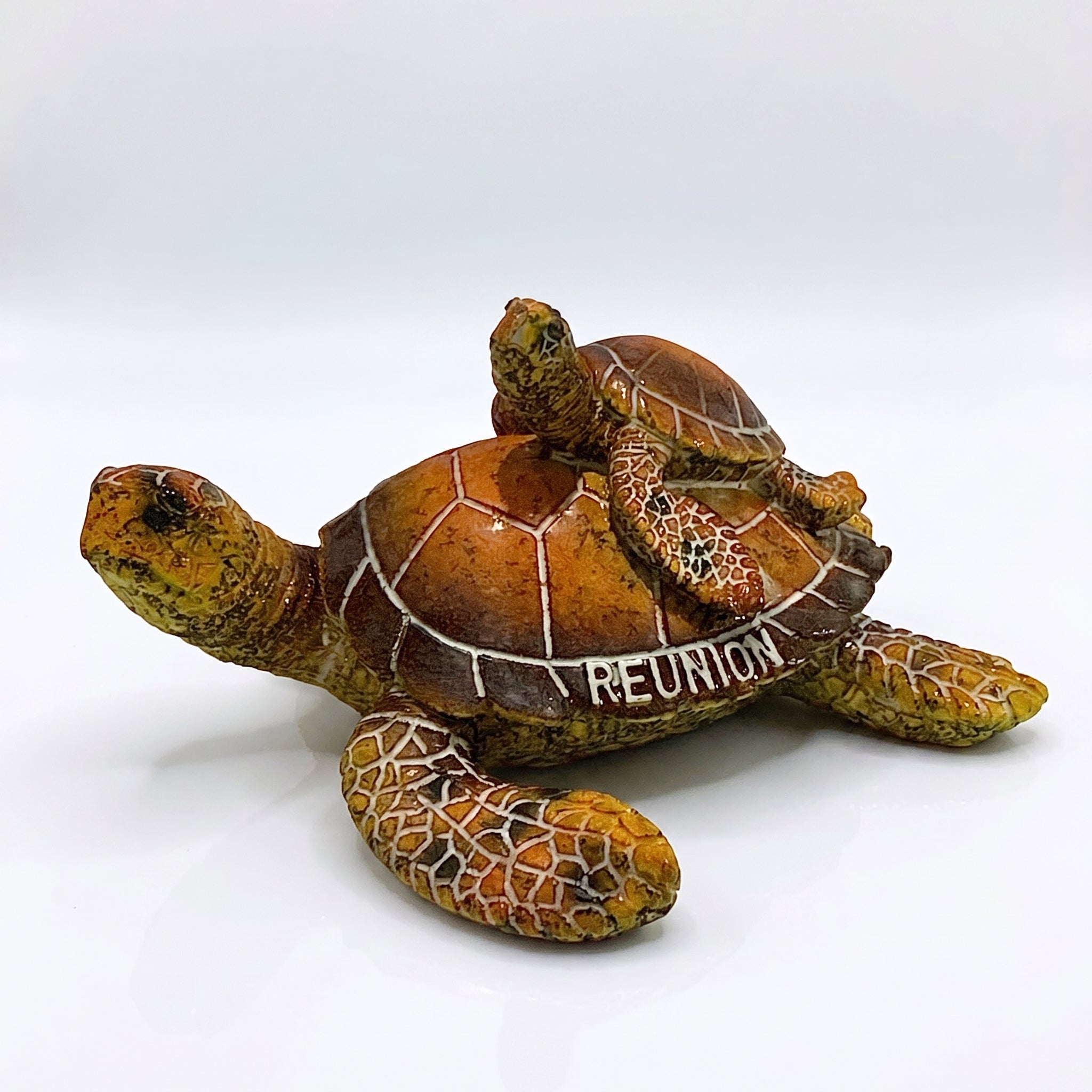 Tortue Déco avec Bébé