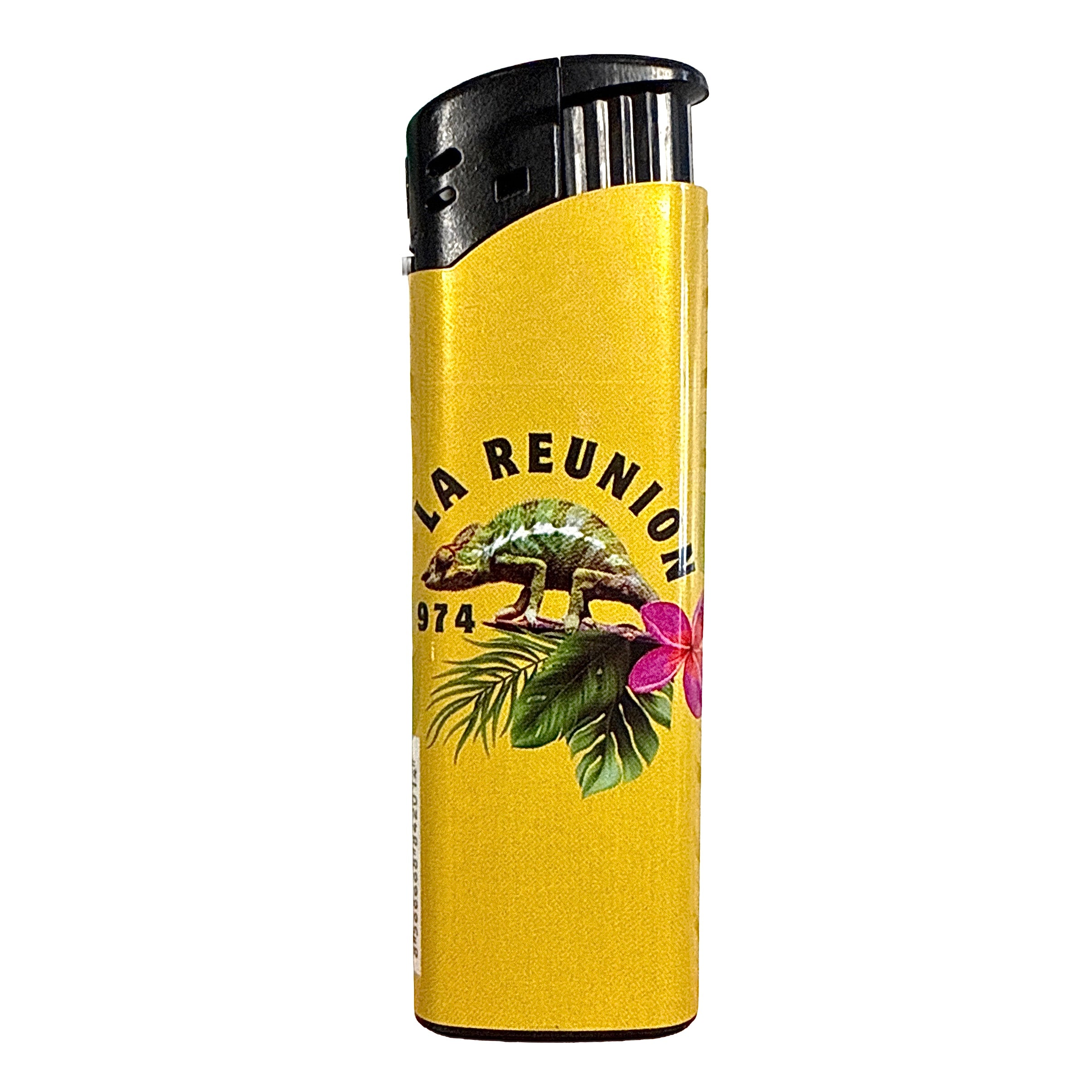 Briquet Endormie