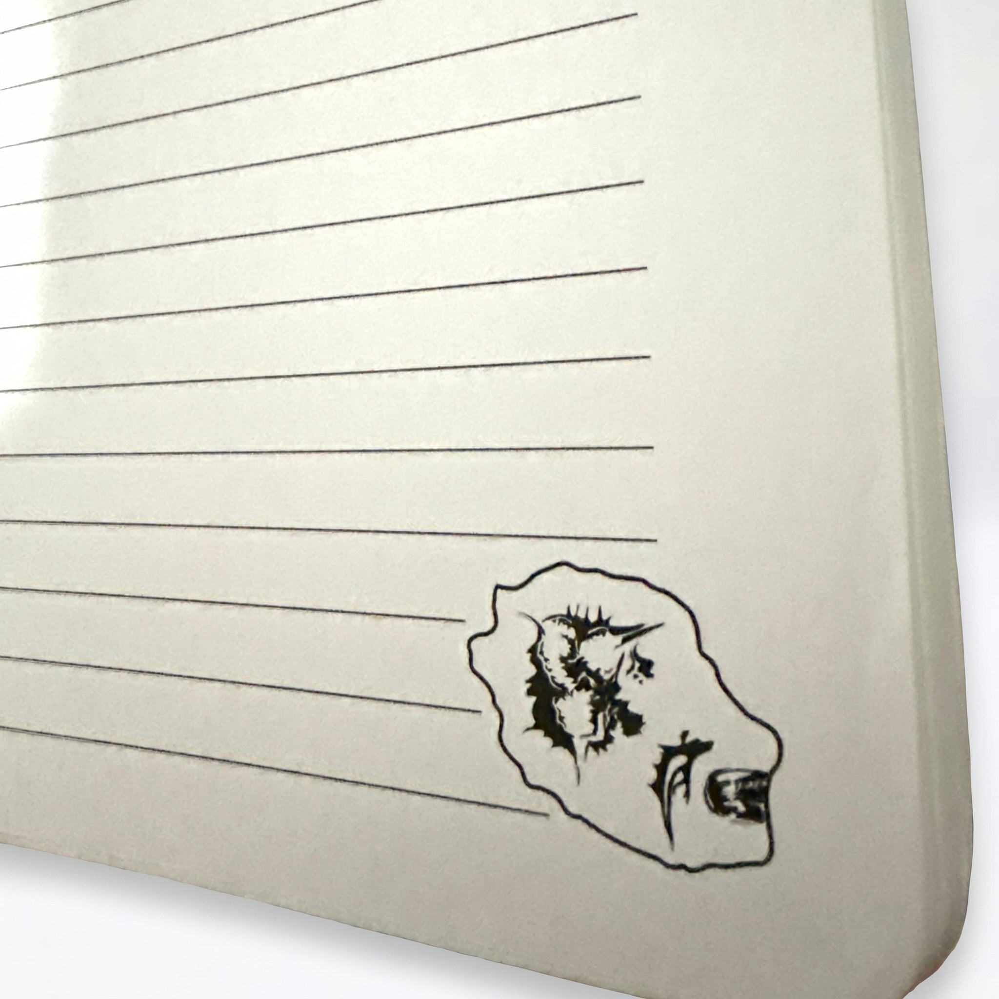 Carnet Réunion