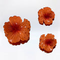 Pince À Fleurs x3