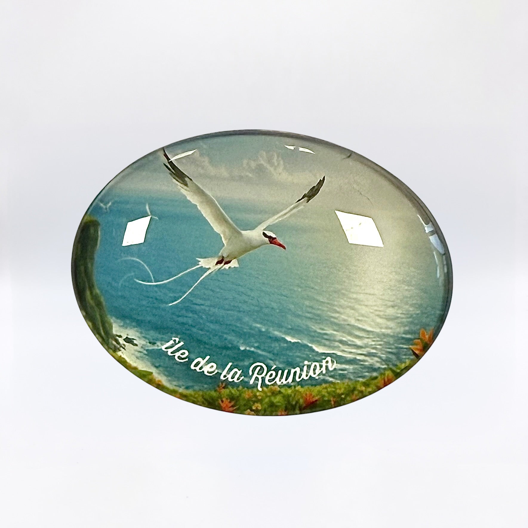 Magnet Paille-En-Queue