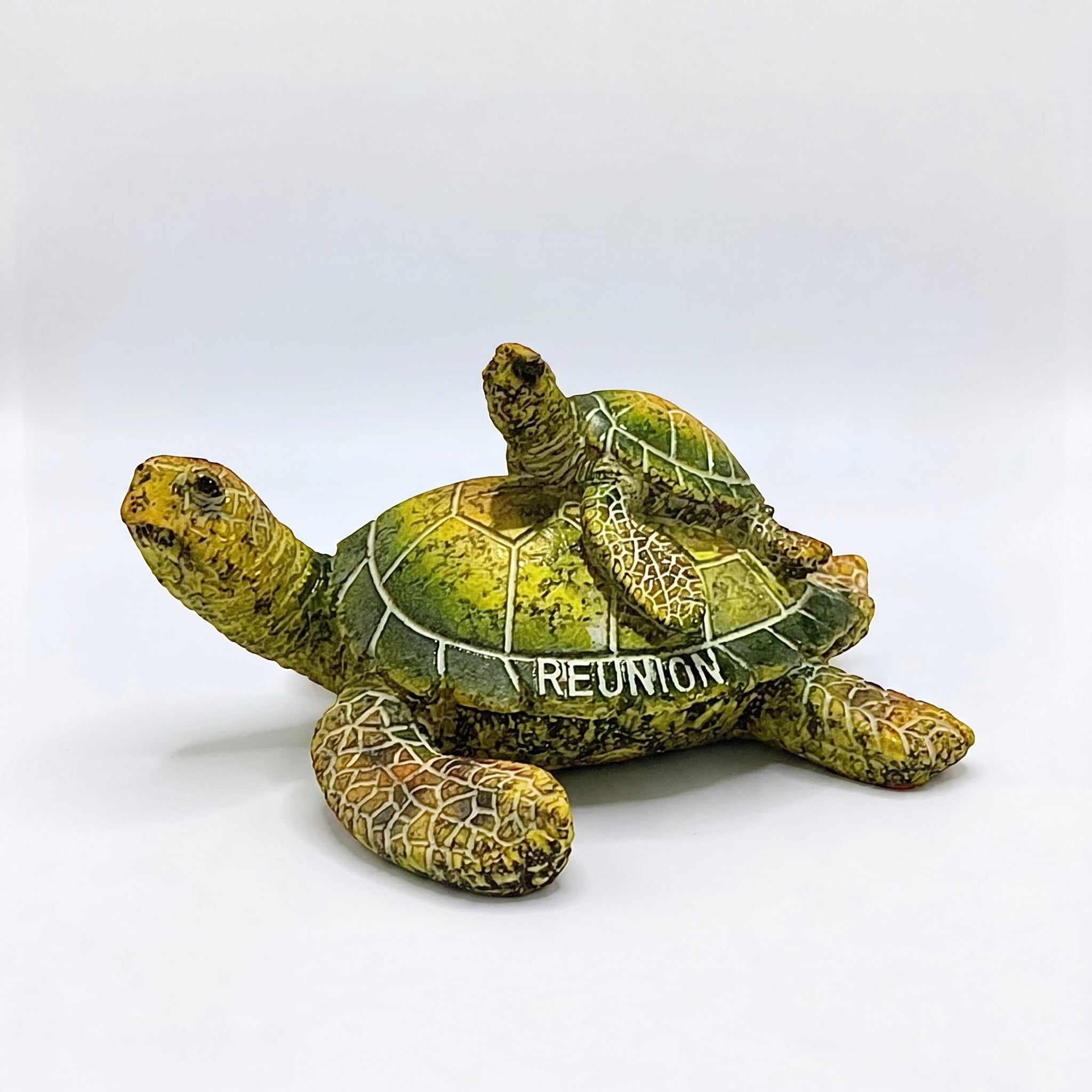 Tortue Déco avec Bébé