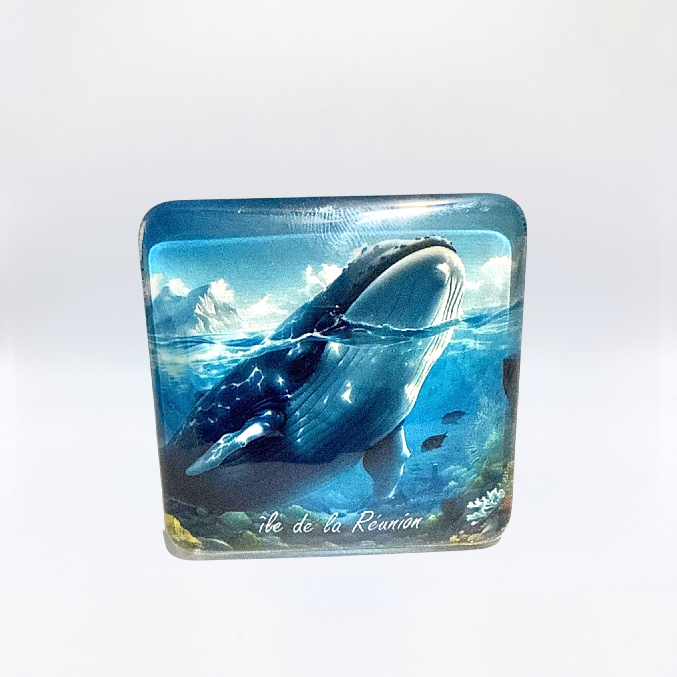 Magnet Baleine