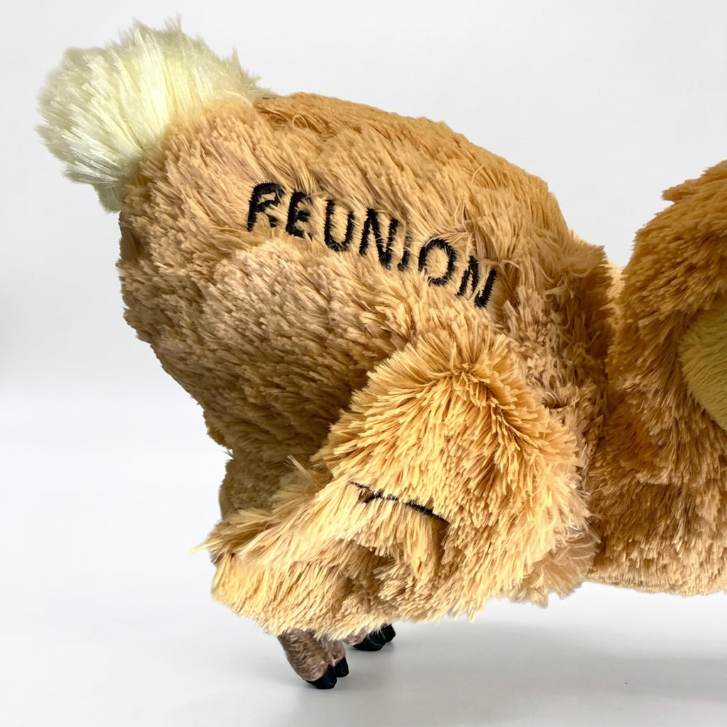 Peluche Dodo