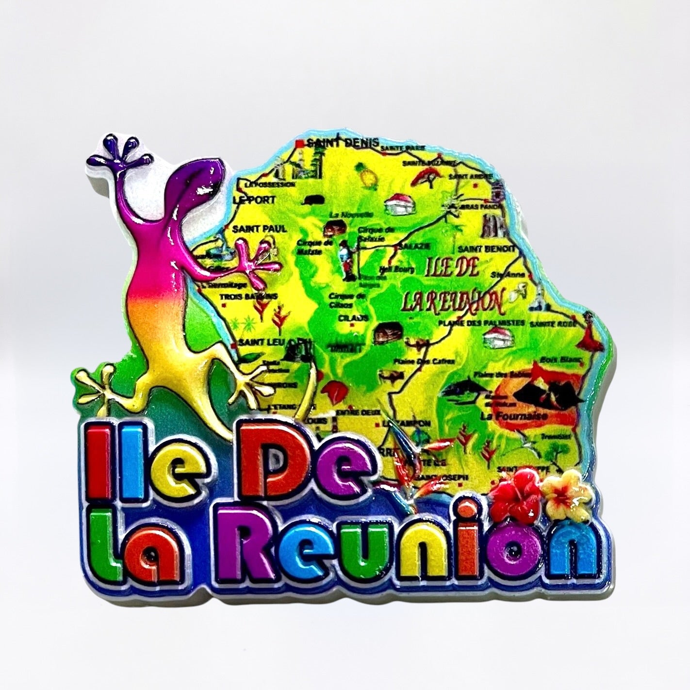 Magnet Carte Margouillat