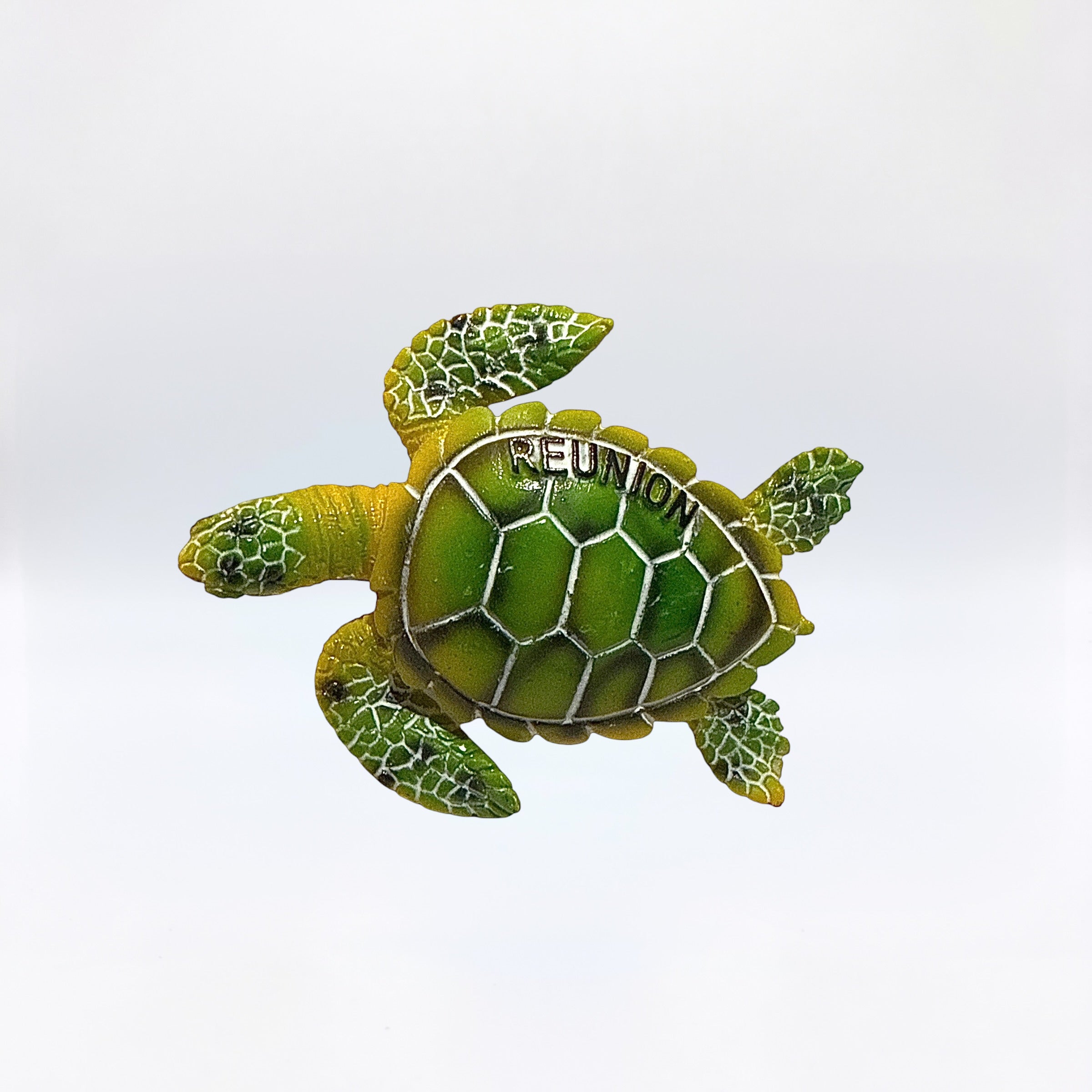 Magnet Tortue