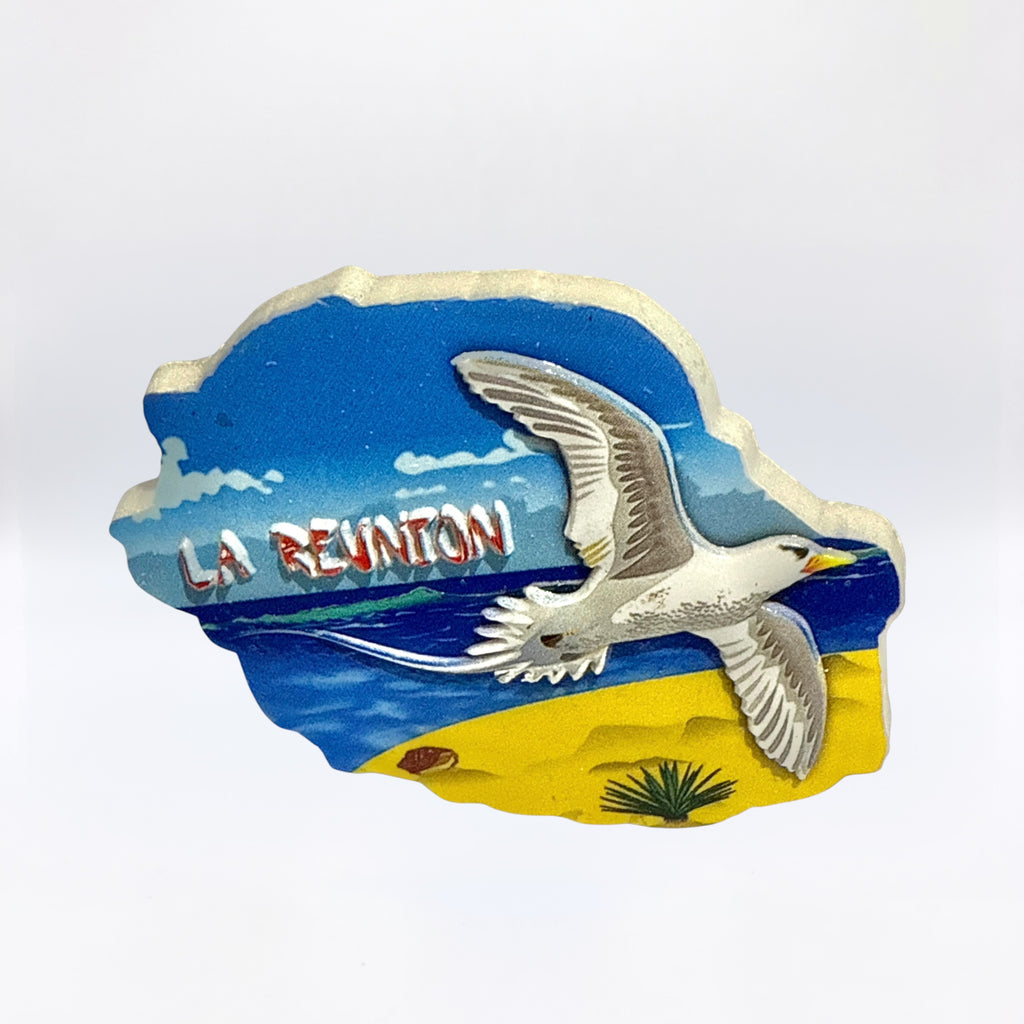 Magnet Paille-En-Queue Plage