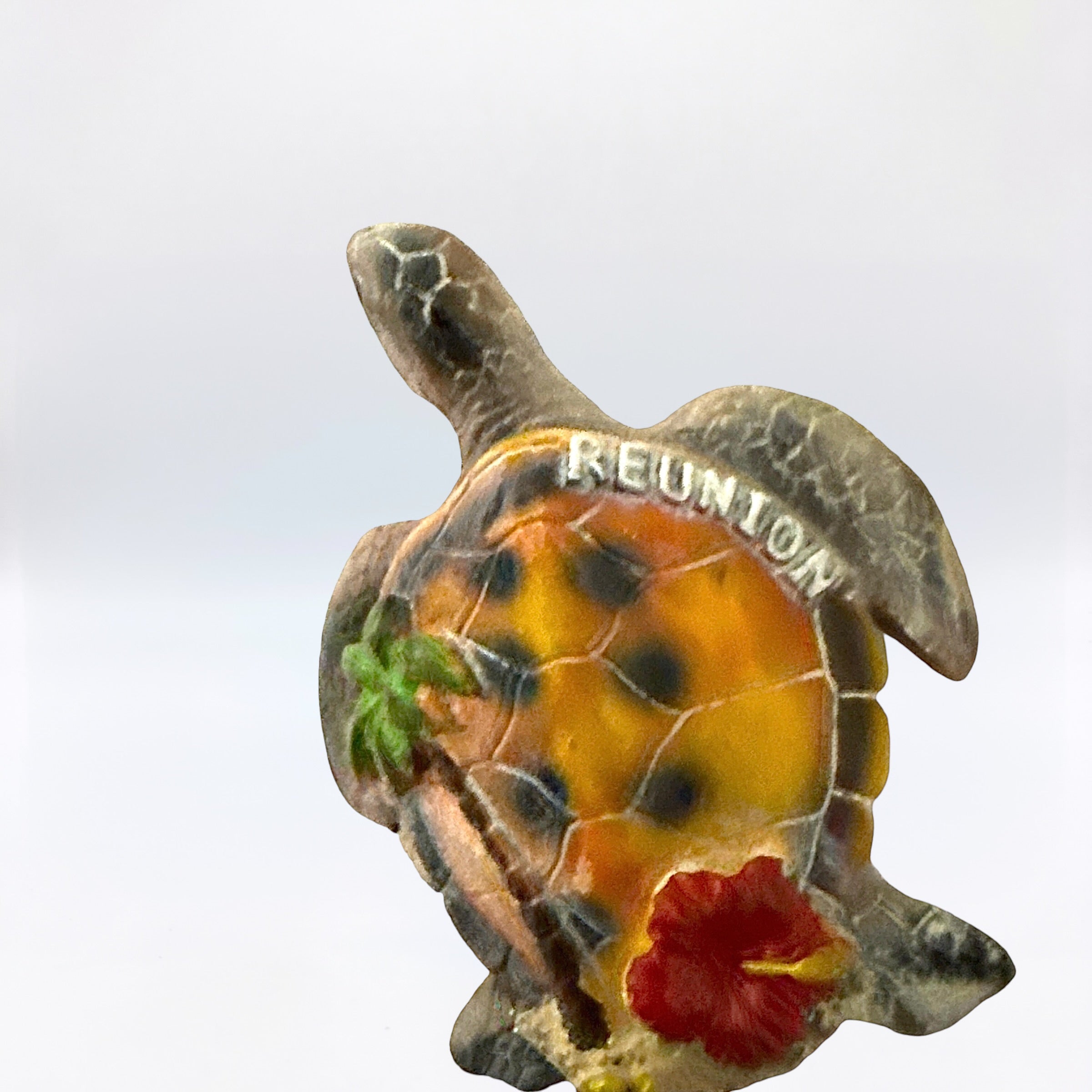 Décapsuleur Tortue
