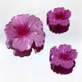 Pince À Fleurs x3